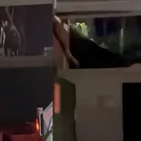 Asayiş