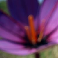 Ekonomi