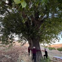 Kahramanmaraş