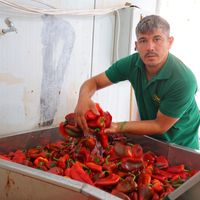 Kahramanmaraş