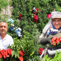 Kahramanmaraş