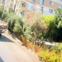 Asayiş