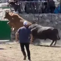 Güncel