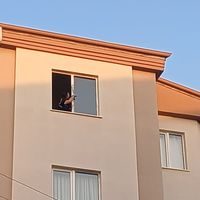 Asayiş