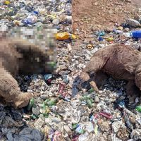 Gündem
