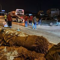 Kahramanmaraş