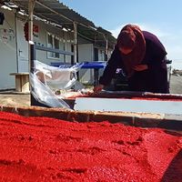 Güncel