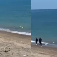 Asayiş