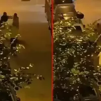 Asayiş