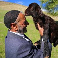 Güncel