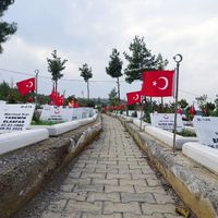 Güncel
