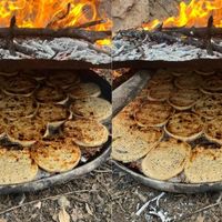 Güncel