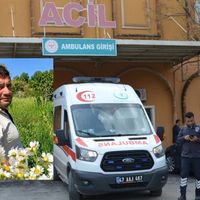 Asayiş