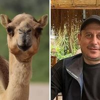 Asayiş