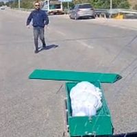 Güncel