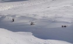 Kahramanmaraş beyaza büründü