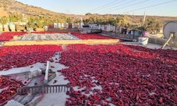 Kahramanmaraş’ta salça mesaisi 