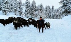 Kahramanmaraş'ta kar etkili oldu 