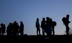 2023 yılında 46 binden fazla düzensiz göçmen sınır dışı edildi