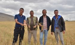 Kahramanmaraş'ta Dolu yağışı, çiftçinin bir yıllık emeği ve alın terini götürdü