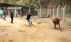 Kurban Bayramı’na hazır  