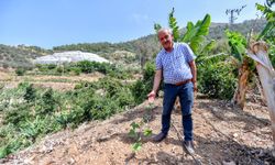 Üreticilere passiflora fidesi desteği  