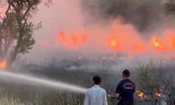 Kahramanmaraş’ta izmarit yangını korkuttu 