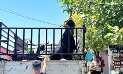 İHH’dan depremde yetim kalan ailelere canlı kurban bağışı
