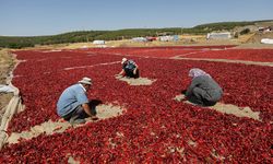 Faydaları saymakla bitmeyen yöresel tat: Maraş biberi