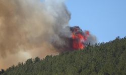 Kahramanmaraş'taki orman yangınında son durum!