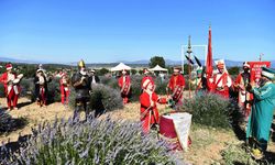 Lavanta festivali başladı