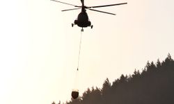 Kahramanmaraş'ta Orman yangınları fotoğraf karelerinde  