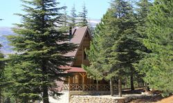 Kahramanmaraş'taki Yalnız Ardıç bungalov evlerinde rezervasyonlar başladı