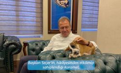 Depremzede köpeğin yavrusu belediyenin maskotu oldu   