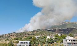 Kahramanmaraş’taki orman yangınına müdahale sürüyor   