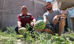 Yıkılan evin enkaz yerinde karpuz çıktı