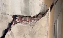 Kahramanmaraş’ta ağır hasarlı binalar kuşların yuvası oldu