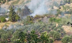 Kahramanmaraş'ta kazma bağlarında yangın çıktı