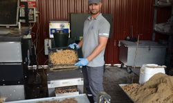 Toplanan yemek artıkları sahipsiz hayvanlara mama oluyor