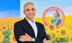Deneme alanlarına ekilen yerli ayçiçeği tohumlarının mahsulleri hasat edildi