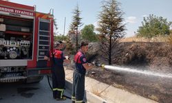 Araçtan atılan sigara izmariti yangına sebep oldu