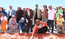Tarım Ürünlerimizin İhracattaki Payı Artıyor