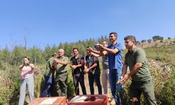 Kınalı Keklikler Doğal Yaşam Alanına Bırakıldı