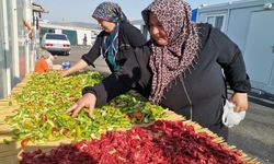 Kahramanmaraş’ta afetzede kadınlar konteyner kentte kışa hazırlık yapıyor