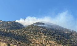 Kahramanmaraş’taki orman yangınına müdahale sürüyor