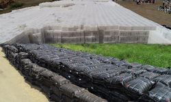 Zeytin ve incir üreticilerine büyük destek