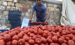 Kahramanmaraş’ta salçalık domates ve biberler tezgahlarda yerini aldı