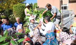 Kadın çiftçilere ücretsiz avokado fidanı dağıtıldı