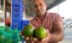 Halde limon 3 TL’ye kadar düştü