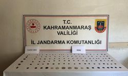Türkoğlu’da tarihi eser operasyonu 